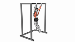Butterfly Pull-up